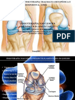 Aula - Reabilitação Das Lesões Ligamentares Do Joelho