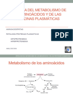 1.PatologiÌ A Del Metabolismo de Aminoaì Cidos-Grabada