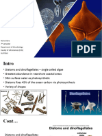 Toxic Diatoms & Dinoflagellates