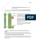 Unit 9 Plant Biology - 2 Phloem Transport