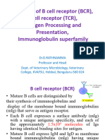 Immunology 8