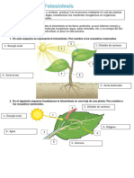 Fotosíntesis