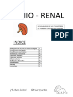 5 - Semio Renal