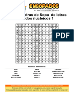 Sopa de Letras Ácidos Nucleicos 