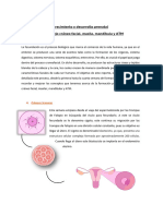 2 SEMANA Crecimiento y Desarrollo Prenatal