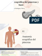 Anatomía Ecográfica Del Páncreas y Bazo