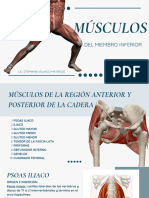 Anatomia Ii - 20240429 - 102953 - 0000