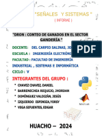 Informe Dron: Conteo de Ganados en El Sector de Huacho