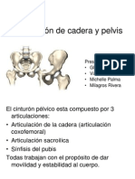 Exploración de Cadera y Pelvis2