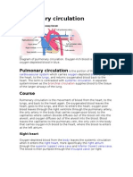 Pulmonary Circulation