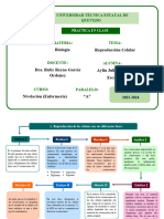 Trabajo de Biologia (Reproducción Celular)