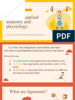Lesson 2 - Ligaments and Tendons