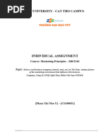 FA23.MKT101-Individual Assignment Guidelines