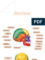 Anaphy Skeletal System Review