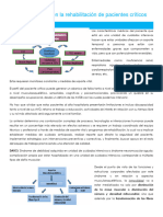 Generalidades en La Rehabilitación de Pacientes Críticos