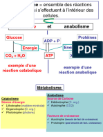 Planches 1 Et 2 - Cours Microbio Industr S6 2022