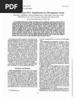 Weisburg Et Al 1991 16s Ribosomal Dna Amplification For Phylogenetic Study