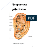 Apostila de Auriculo 2022