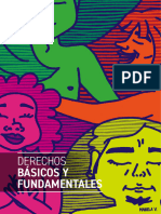 Derechos Basicos y Fundamentales