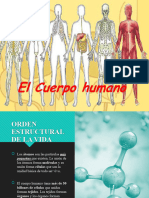 El Cuerpo Humano 1