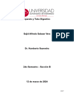 Diagrama Del Aparato Digestivo y Ensayo de Sajid1