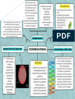 Mapa Mental Semana 3 Taxonomía Bacteriana