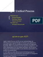 Agile Unified Process