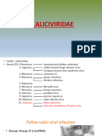 10 Caliciviridae FCV, VESV & Viroids MVHK - 2211