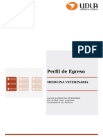 Perfil Egreso Diurno Medicina Veterinaria