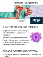 Sistema Reprodutor Humano