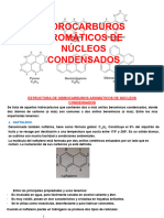 HC Nucleos Condensados