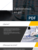 Electroforesis en Gel