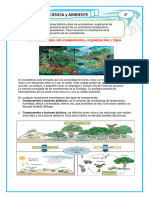 Ficha Del Ecosistema