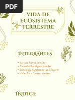 Vida de Ecosistema Terrestre