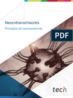 Neuropsicología - Neurotransmisores