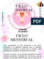 Ciclo Reproductivo - Menstrual. Uptm