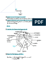 Chapter 2 Questions 2024-03-10 13 - 00 - 51