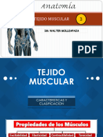 3 Tejido Muscular