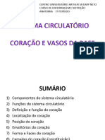 Sistema Circulatório - Coração e Vasos Da Base