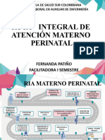 Ruta de Atención Materno Perinatal