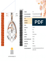 Grafico Sunrise Human Design