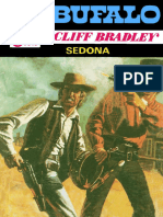 Cliff Bradley - Sedona