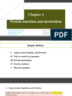 Food Nutrient: Protein and Health Effects