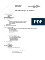 Syndrome Nephrotique Residents