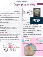 Resumo - Morfologia Dos Dentes Permanentes