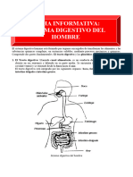 Sistema Digestivo Del Hombre para Sexto de Primaria