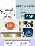 Anatomy of Cornea 2