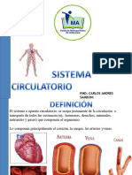 Sistema Circulatorio PSF