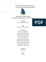 PRÁCTICA Sistema Circulatorio