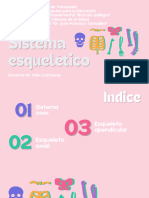 Esqueleto 20240311 082038 0000